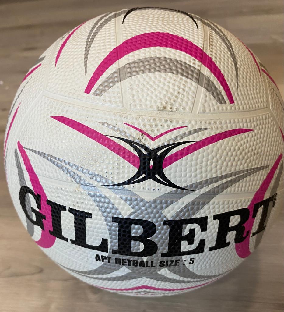 Net Ball - Gilbert
