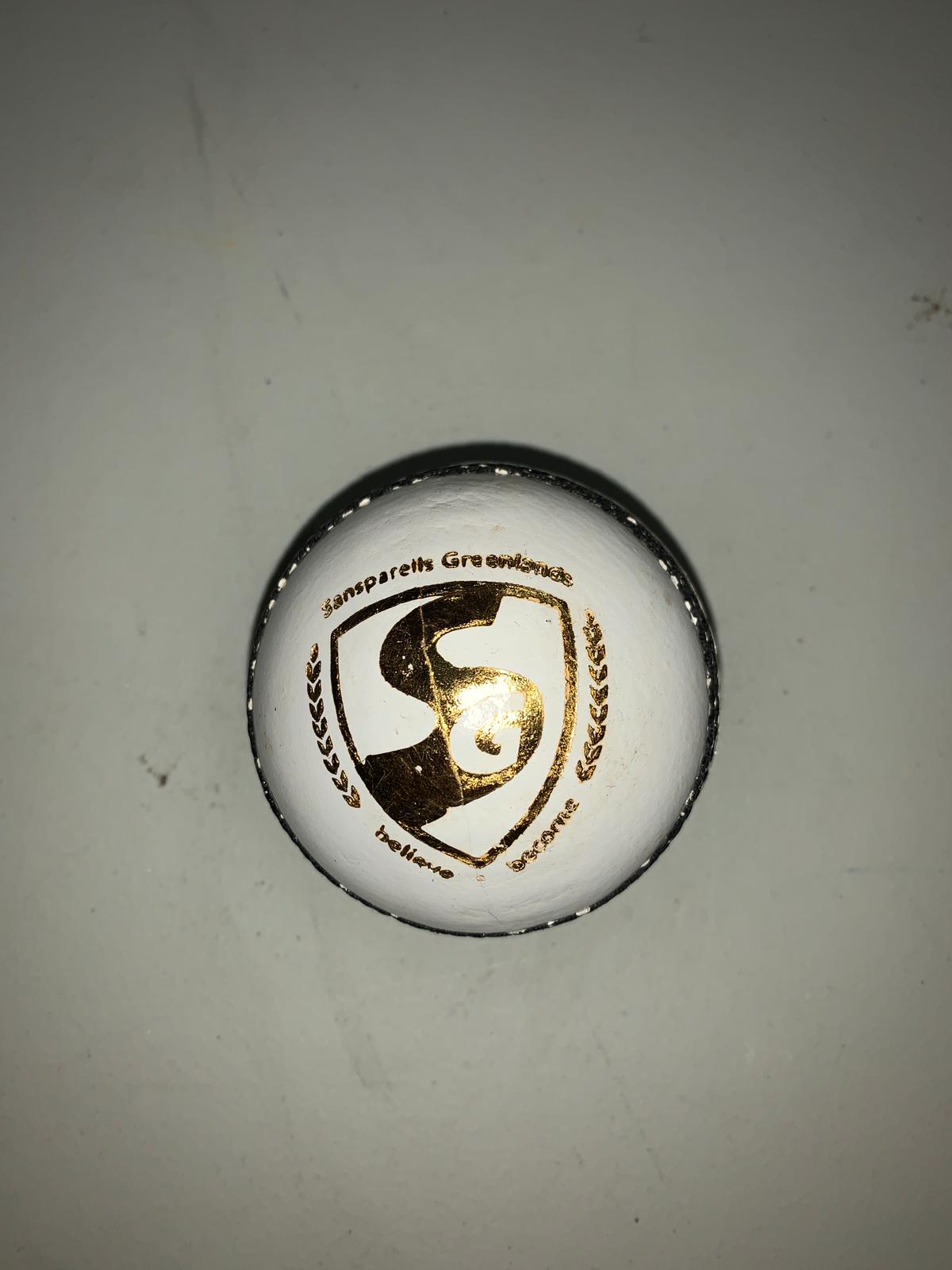 SG Cricket Ball